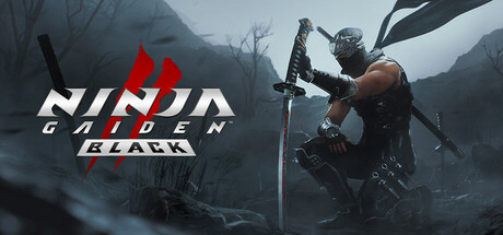 NINJA GAIDEN 2 Black-Cover-Art