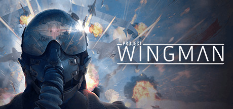 Project Wingman-Cover-Art