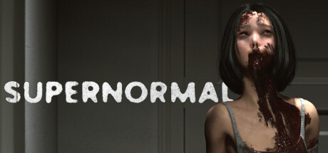 εξώφυλλο Supernormal